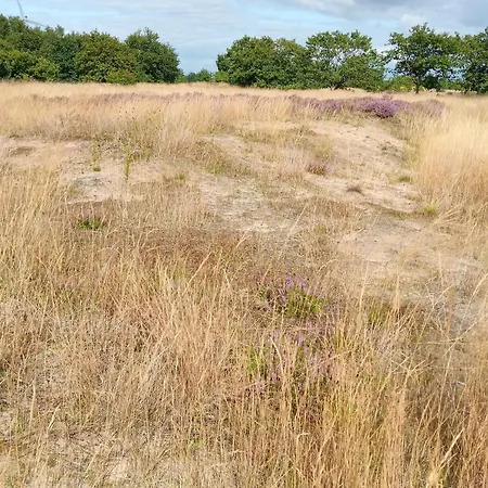 Дом отдыха In Nahe Sylt