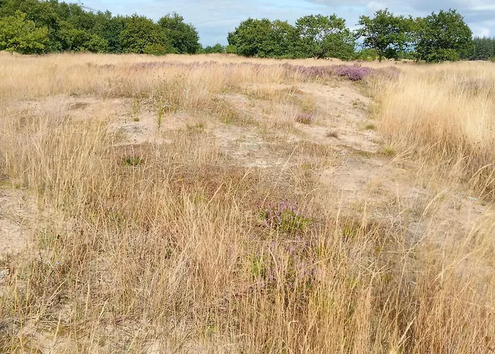 Semesterbostad In Nahe Sylt