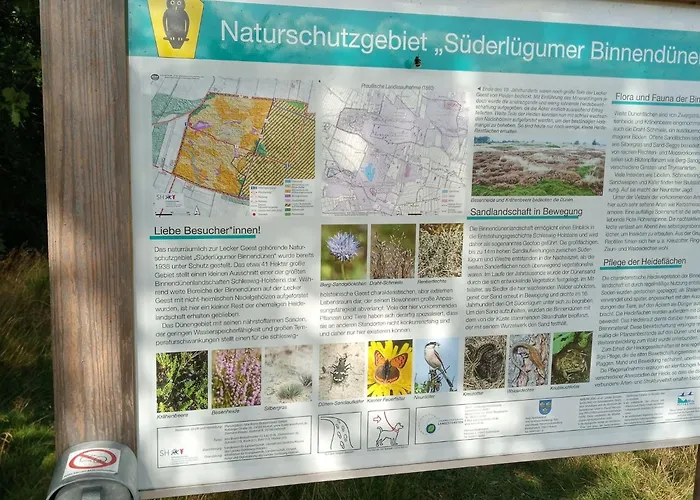 In Nahe Sylt Semesterbostad Neukirchen (Nordfriesland)